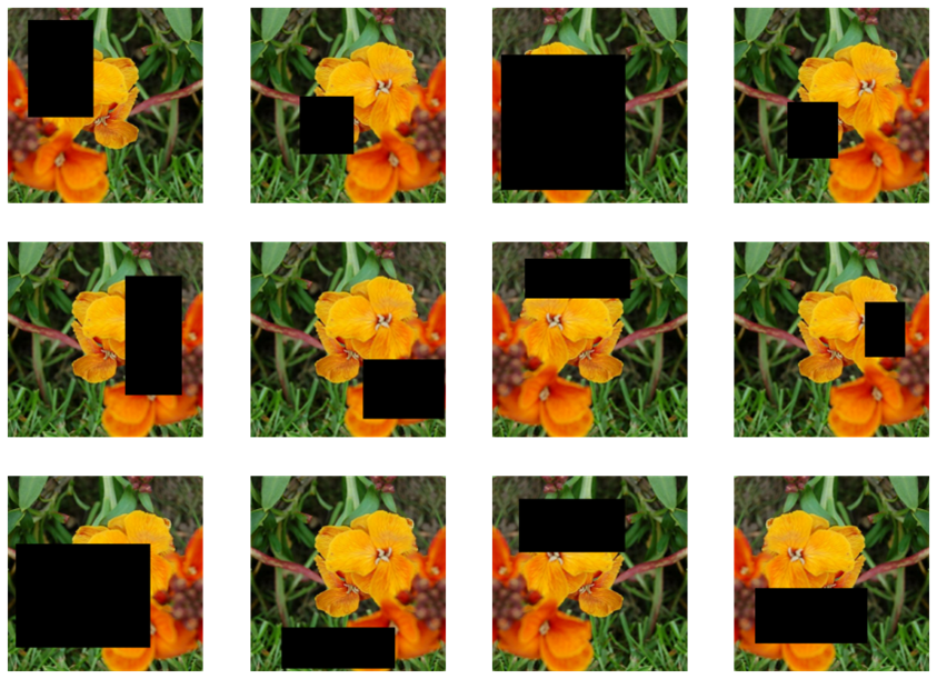 Flowers with random erasing